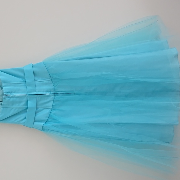 Blue Sweetheart Bodice and Tulle Gown - Picture 5 of 6